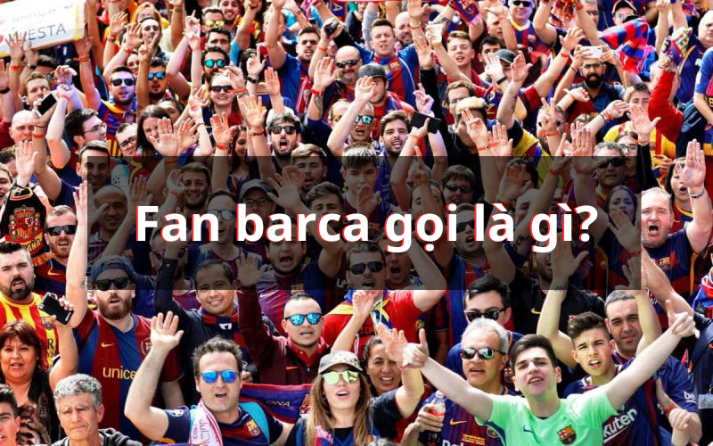 Fan Barca Gọi Là Gì? Lí Giải Tên Gọi Của Fan Barca