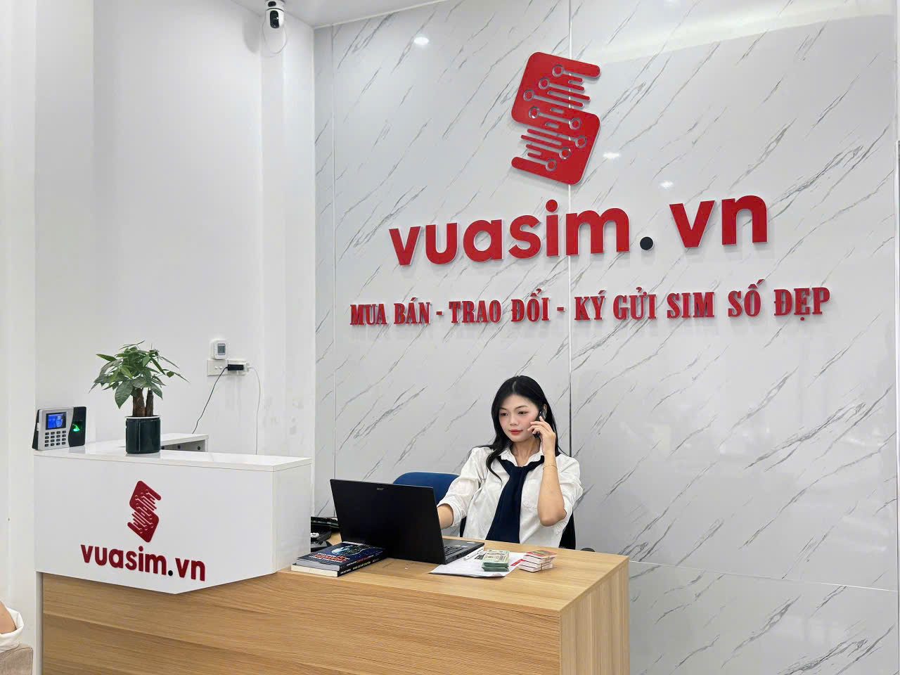 giới thiệu về vua của sims