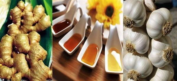 THỰC PHẨM GÀ MÙA HÈ: BÍ QUYẾT PHA TRỘN ĐỂ TĂNG SỨC ĐỀ KHÁNG VÀ GIẢM MÁT - zgreen.com.vn