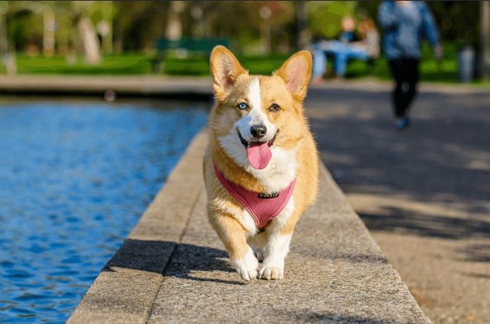 10 Dấu hiệu chắc chắn và may mắn để trúng giải độc đắc xổ số