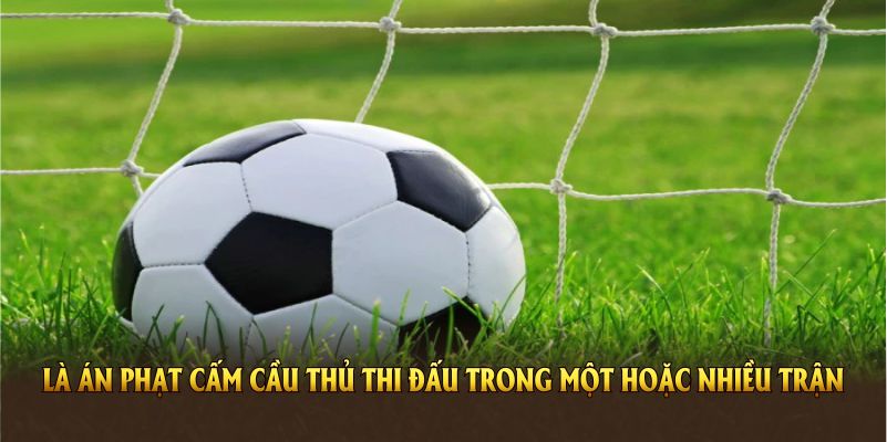 Hệ thống treo là gì và những quy tắc quan trọng bạn cần biết