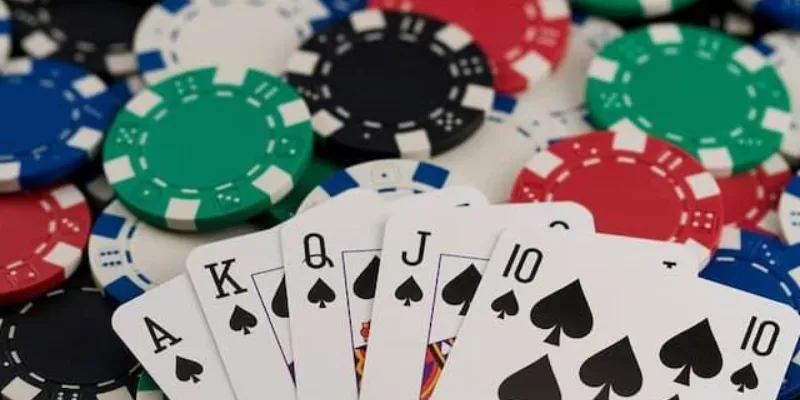 Fish Trong Poker Là Gì? Cách Nhận Biết Và Đối Mặt Hiệu Quả